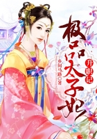 极品太子妃升职记