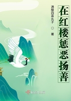 在紅樓懲惡揚善在線閱讀