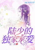 陆少的独家宠爱在线阅读