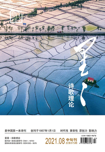 星星·詩歌理論（2021年第8期）
