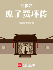 紅樓之庶子賈環傳