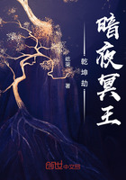 乾坤劫：暗夜冥王在线阅读