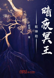 乾坤劫：暗夜冥王