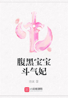 腹黑寶寶斗氣妃在線閱讀