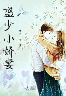 盛少小娇妻