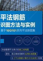 平法钢筋识图方法与实例：基于16G101系列平法新图集