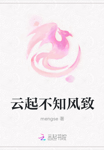 云起不知風致