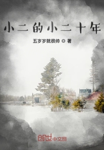 小二的小二十年