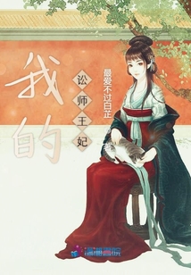 我的訟師王妃