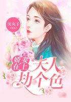 娇妻在上：夫人，劫个色在线阅读