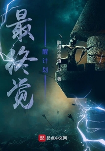 最終覺醒計劃