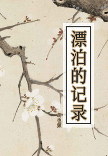 漂泊的记录