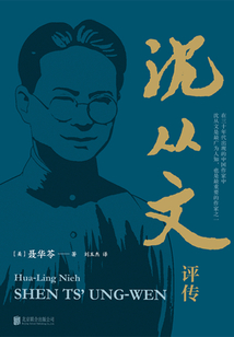 沈從文評傳