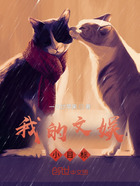 我的文娱小目标在线阅读
