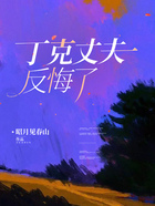 丁克丈夫反悔了在線閱讀