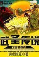 武圣传说之岳武穆篇