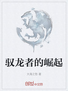 驭龙者的崛起在线阅读