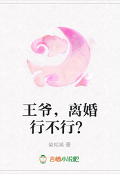 王爷,离婚行不行?在线阅读