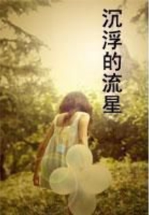 沉浮的流星