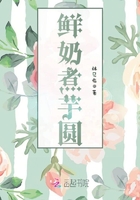 鮮奶煮芋圓在線閱讀