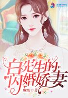 白先生的閃婚嬌妻在線閱讀