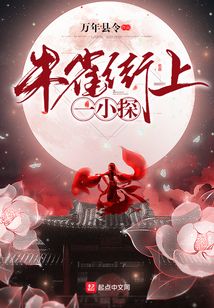 朱雀街上一小探