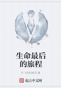 生命最后的旅程