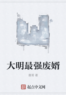 大明最強廢婿