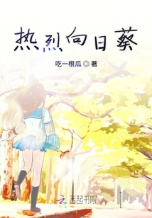 热烈向日葵
