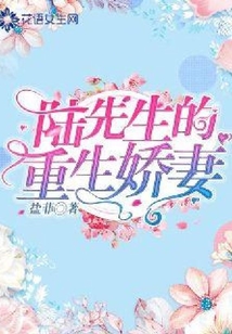陸先生的重生嬌妻