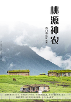 桃源神农在线阅读