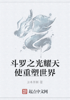 斗罗之光耀天使重塑世界在线阅读