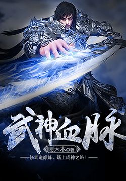 武神血脉 封面