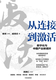 從連接到激活:數(shù)字化與中國產(chǎn)業(yè)新循環(huán)