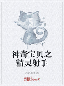 神奇宝贝之精灵射手