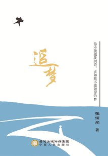 追夢