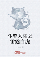斗罗大陆之雷霆白虎在线阅读