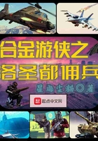 合金游侠之洛圣都佣兵