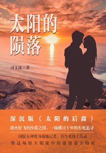 太阳的陨落