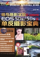 蜂鸟摄影学院 Canon EOS 5DS /5DS R单反摄影宝典在线阅读