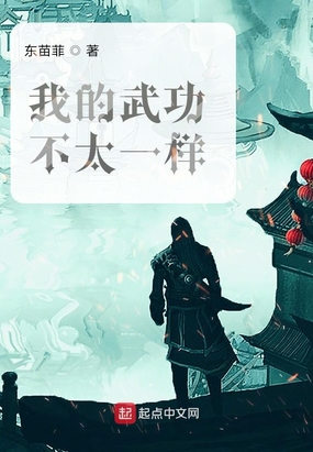 我的武功不太一样在线阅读
