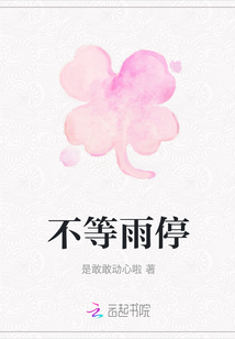 不等雨停