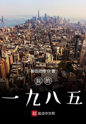 我的一九八五在线阅读