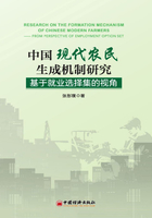 中國現代農民生成機制研究：基于就業選擇集的視角在線閱讀