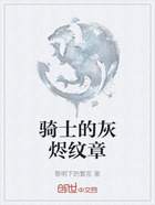 骑士的灰烬纹章在线阅读