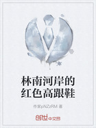 林南河岸的红色高跟鞋在线阅读