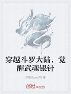 穿越斗罗大陆,觉醒武魂银针在线阅读
