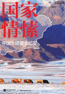 國家情愫：中國大援疆全紀實