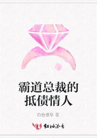 霸道總裁的抵債情人在線閱讀