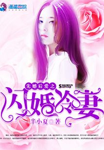 先婚后愛之閃婚冷妻